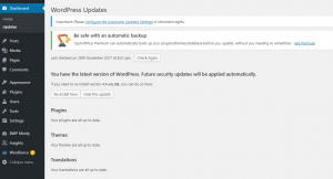 WordPress update screen